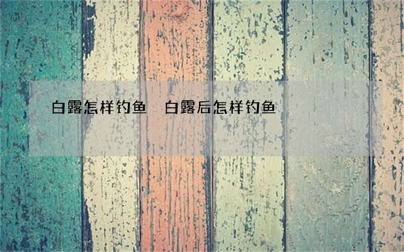 白露怎样钓鱼 白露后怎样钓鱼